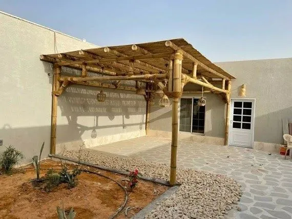صورة المقال