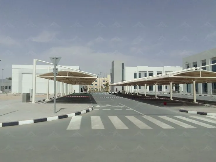 صورة المقال